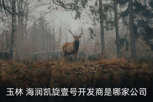 玉林 海潤(rùn)凱旋壹號(hào)開發(fā)商是哪家公司