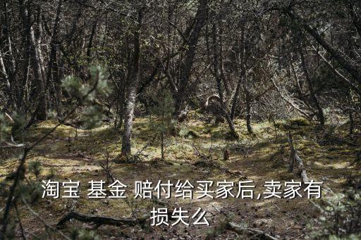 淘寶基金賠付任務,淘寶體驗基金賠付是什么