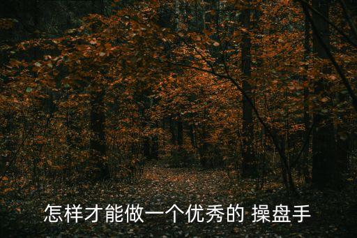 怎樣才能做一個(gè)優(yōu)秀的 操盤(pán)手