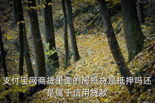 支付寶網(wǎng)商貸里面的房抵貸是抵押?jiǎn)徇€是屬于信用貸款