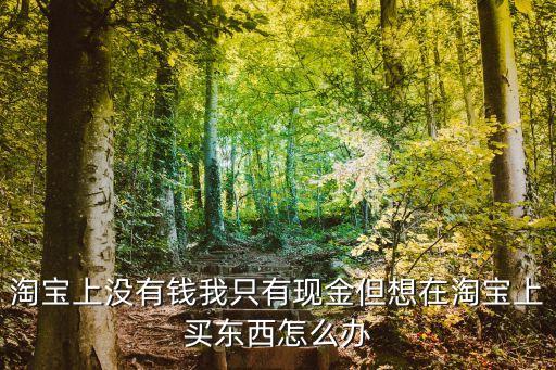 淘寶上沒有錢我只有現(xiàn)金但想在淘寶上買東西怎么辦