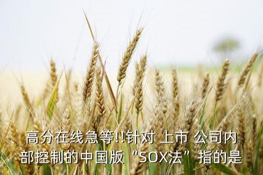 高分在線急等!!針對 上市 公司內部控制的中國版“SOX法”指的是