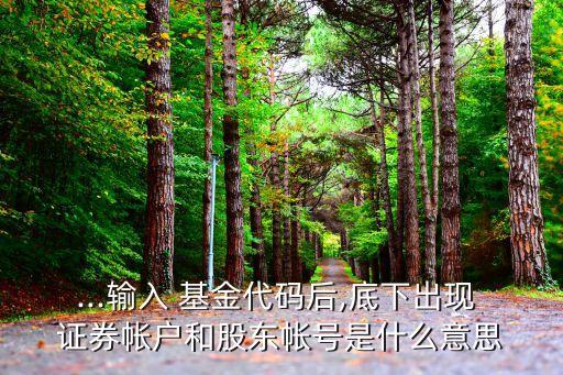 ...輸入 基金代碼后,底下出現(xiàn) 證券帳戶和股東帳號是什么意思