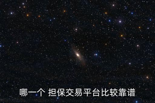 哪一個(gè) 擔(dān)保交易平臺(tái)比較靠譜