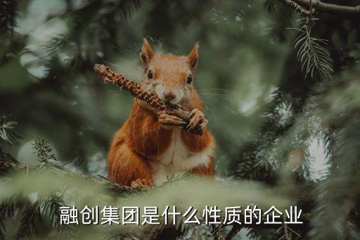 融創(chuàng)中國的核心價(jià)值觀,融創(chuàng)企業(yè)文化核心價(jià)值觀
