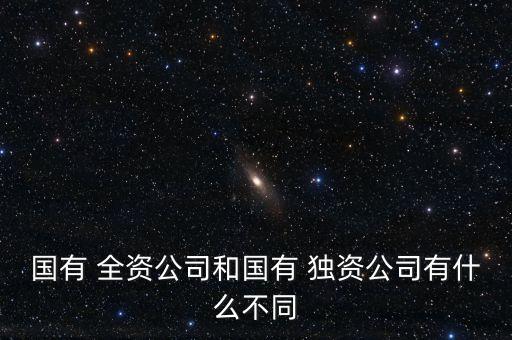 國有 全資公司和國有 獨資公司有什么不同