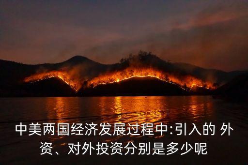 2013年中國引進(jìn)外資,中國引進(jìn)外資的目的