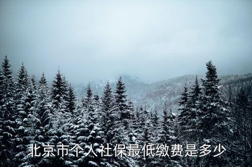 北京個人繳納養(yǎng)老保險