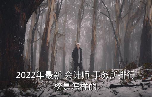 2022年最新 會計師 事務(wù)所排行榜是怎樣的