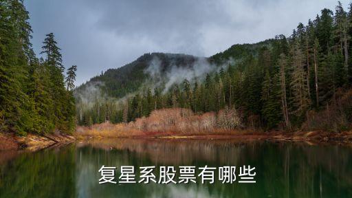  復星系股票有哪些
