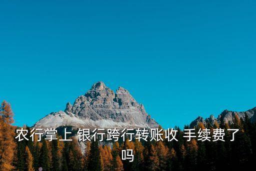 農行掌上 銀行跨行轉賬收 手續(xù)費了嗎