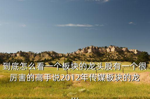 到底怎么看一個板塊的龍頭股有一個很厲害的高手說2012年傳媒板塊的龍...