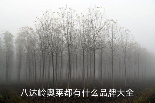 八達(dá)嶺奧萊都有什么品牌大全