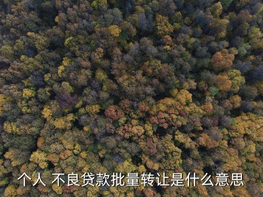 個(gè)人 不良貸款批量轉(zhuǎn)讓是什么意思
