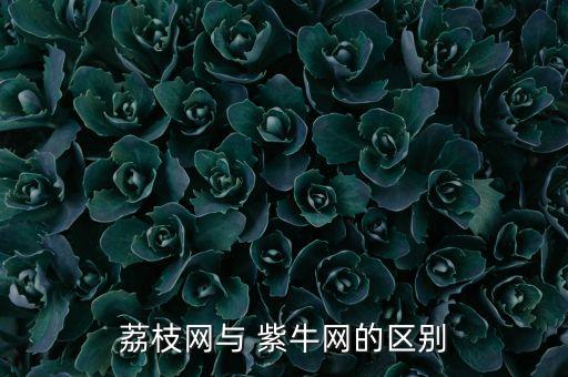 紫?；鸸?張泉靈 紫牛基金