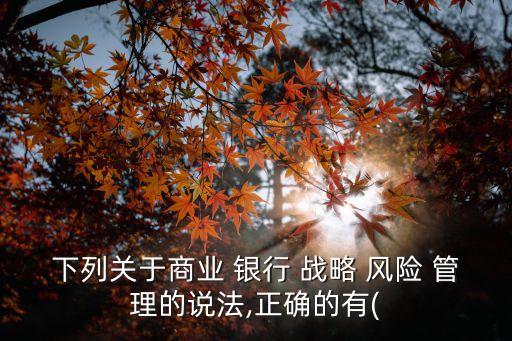 下列關(guān)于商業(yè) 銀行 戰(zhàn)略 風險 管理的說法,正確的有(