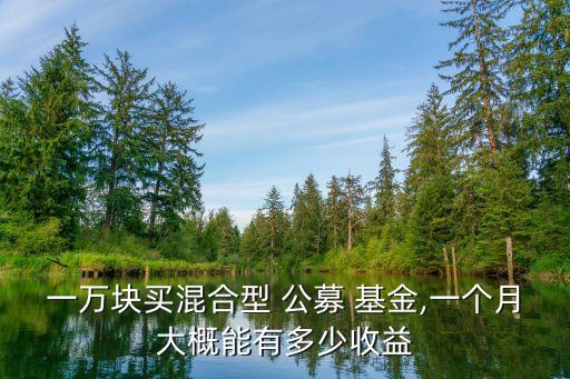 一萬塊買混合型 公募 基金,一個月大概能有多少收益