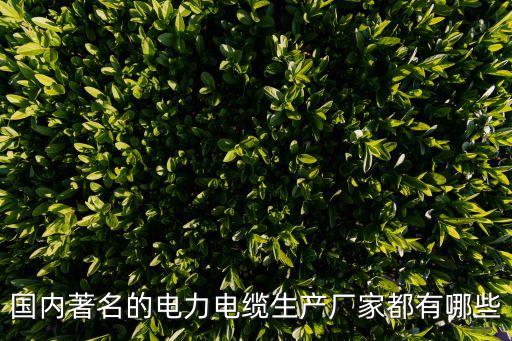 國內著名的電力電纜生產廠家都有哪些