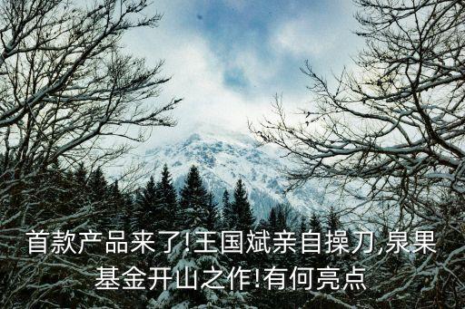 首款產品來了!王國斌親自操刀,泉果基金開山之作!有何亮點