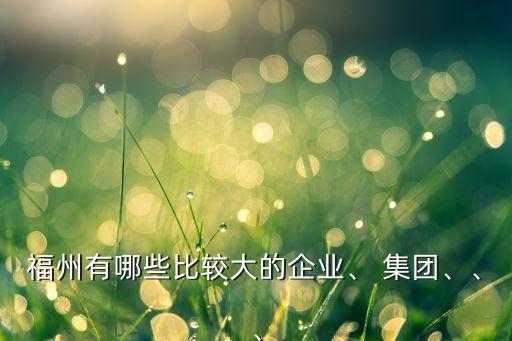 福州有哪些比較大的企業(yè)、 集團、、、