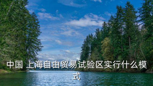 中國(guó) 上海自由貿(mào)易試驗(yàn)區(qū)實(shí)行什么模式