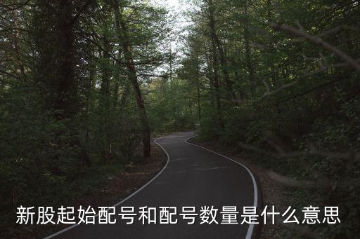 新股起始配號(hào)和配號(hào)數(shù)量是什么意思