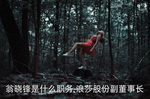 翁曉鋒是什么職務 浪莎股份副董事長