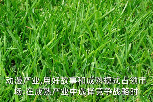 北京每日視界影視動畫,每日視界影視動畫公司
