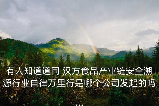 有人知道道同 漢方食品產(chǎn)業(yè)鏈安全溯源行業(yè)自律萬里行是哪個公司發(fā)起的嗎...