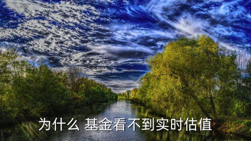 為什么 基金看不到實時估值