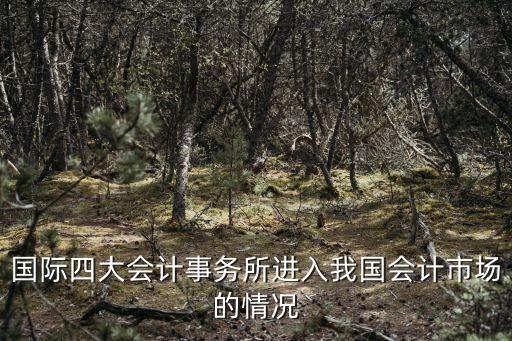 國際四大會(huì)計(jì)事務(wù)所進(jìn)入我國會(huì)計(jì)市場的情況