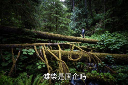  濰柴是國(guó)企嗎