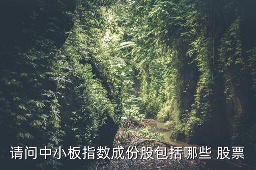 請問中小板指數(shù)成份股包括哪些 股票