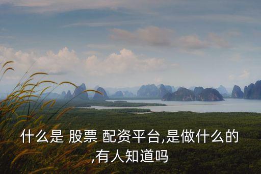 什么是 股票 配資平臺,是做什么的,有人知道嗎