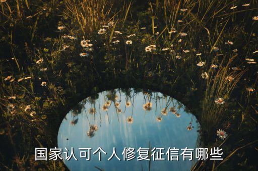 國家認(rèn)可個人修復(fù)征信有哪些