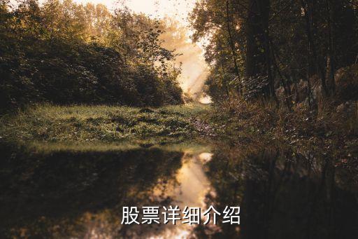  股票詳細(xì)介紹
