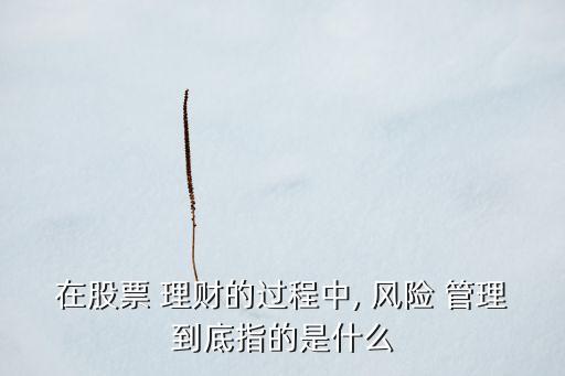 在股票 理財?shù)倪^程中, 風(fēng)險 管理到底指的是什么