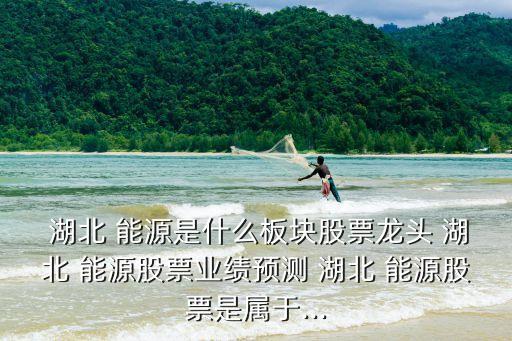  湖北 能源是什么板塊股票龍頭 湖北 能源股票業(yè)績預測 湖北 能源股票是屬于...