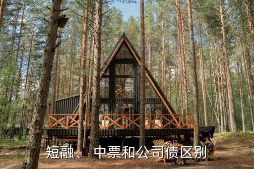 短融、 中票和公司債區(qū)別