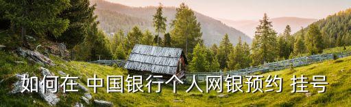 如何在 中國銀行個(gè)人網(wǎng)銀預(yù)約 掛號