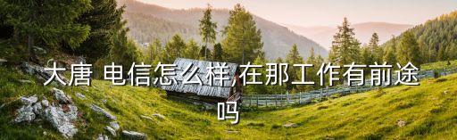 大唐電信子公司有哪些,西安大唐電信招聘哪些專業(yè)
