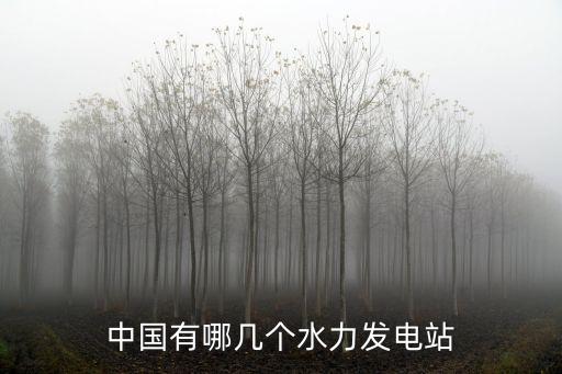 中國(guó)有哪幾個(gè)水力發(fā)電站