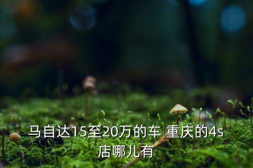 重慶同洲集團(tuán)破產(chǎn)