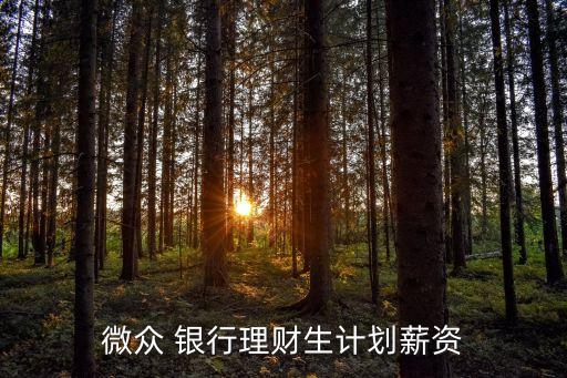 微眾 銀行理財(cái)生計(jì)劃薪資