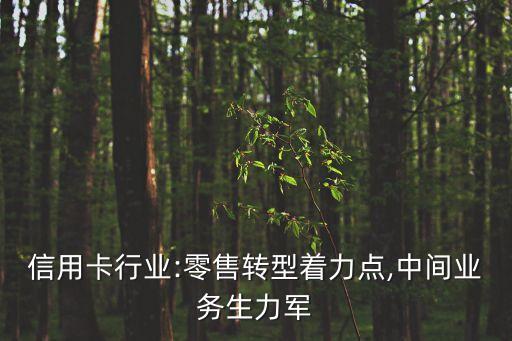 信用卡行業(yè):零售轉(zhuǎn)型著力點(diǎn),中間業(yè)務(wù)生力軍