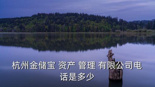 杭州金儲(chǔ)寶 資產(chǎn) 管理 有限公司電話是多少