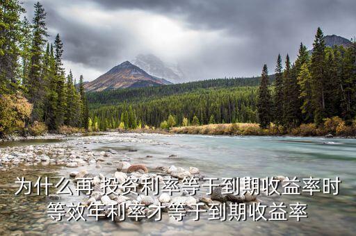 為什么再 投資利率等于到期收益率時(shí)等效年利率才等于到期收益率