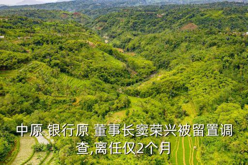 中原 銀行原 董事長竇榮興被留置調(diào)查,離任僅2個(gè)月