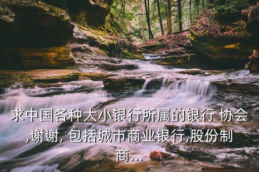 中國(guó)銀行業(yè)協(xié)會(huì)的會(huì)員單位包括,什么屬于中國(guó)銀行業(yè)協(xié)會(huì)的會(huì)員單位