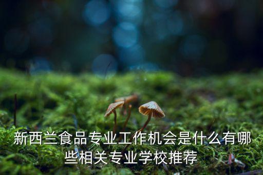  新西蘭食品專(zhuān)業(yè)工作機(jī)會(huì)是什么有哪些相關(guān)專(zhuān)業(yè)學(xué)校推薦